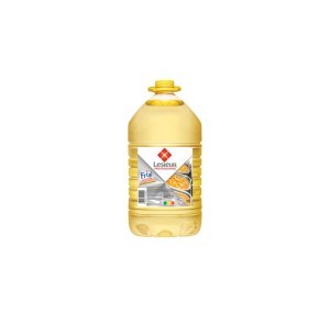 Huile friteuse frial 10 l lesieur