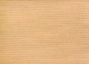 Set de table kraft 30x40 p500