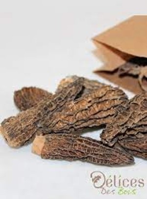 Morilles speciales calibrees kg 2/5 cm