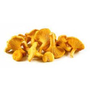 Girolles mini 4/4 sylva