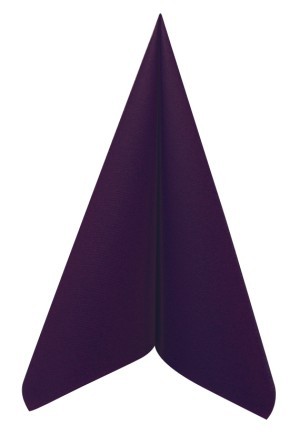 Serviette voie seche prune 40x40 p50