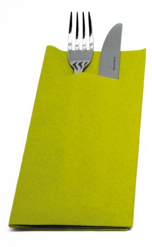 Etui couvert kiwi x 100